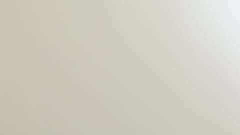 Rescuing a Cat From a Stretch Ceiling