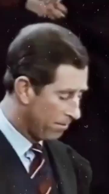 This explains everything there is to know about the collapse of Europe