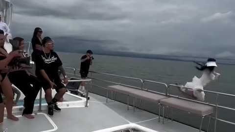 😂 Hilarious Funny Moments Caught on Camera | Try Not to Laugh Compilation 2025 😂