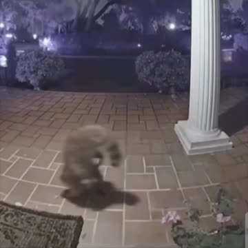 Trying to mask your direction of travel 🤣