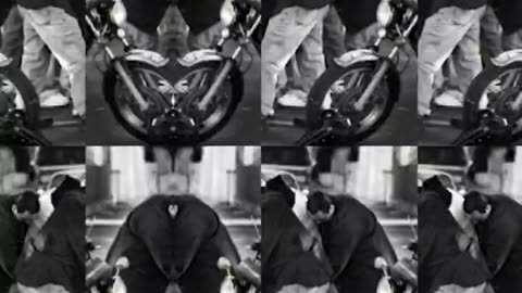 Economist just exposed how wealthy Chinese are partnering with Mexico Drug Cartels in America