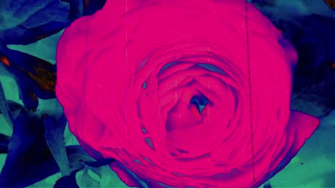 To the Nightingale (short poem)