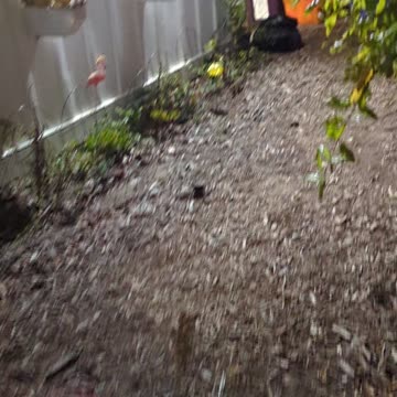 Halloween decorations Part 3E: Power source specifications