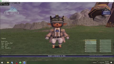 Playing Final Fantasy XI Online