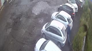Bear attack in Kamchatka, Russia