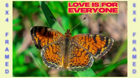 Butterfly DSCF5862 FUJIFILM X-S10 With Purpose