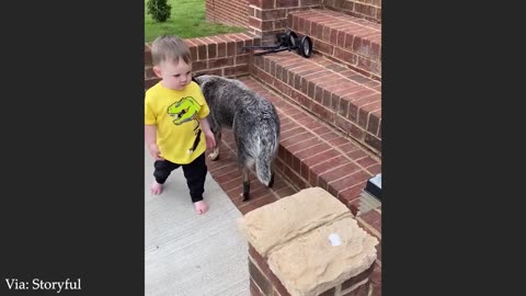 Loyal Dog Saves Baby 😱 | Emotional & Must Watch Moment 💫