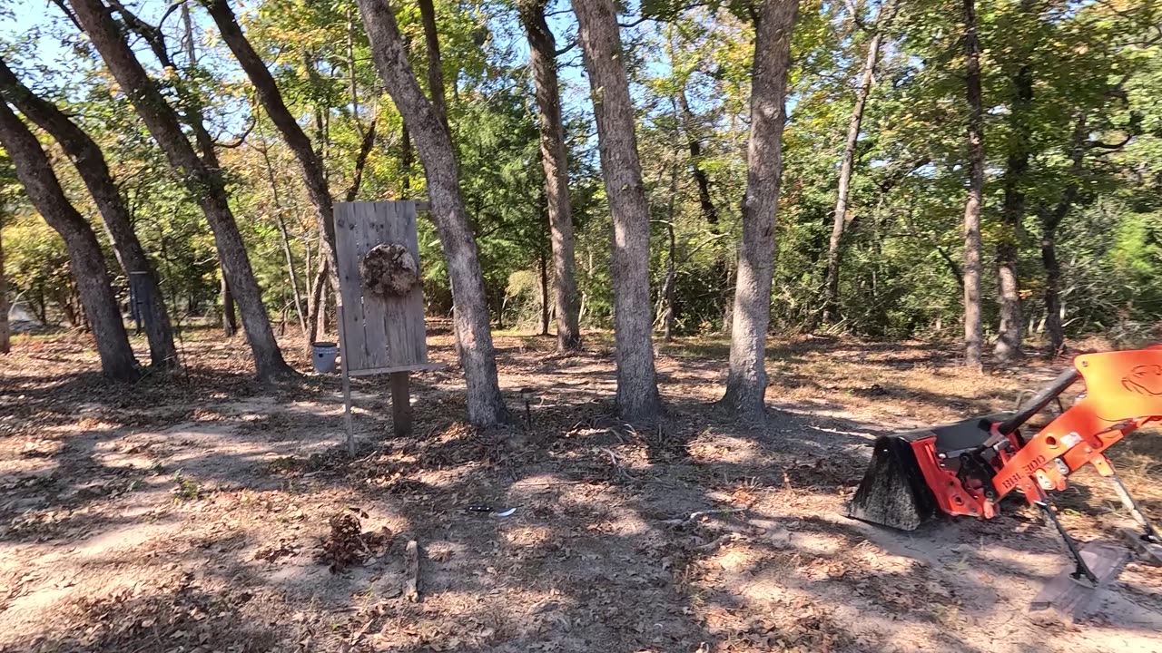 🪓 Mossy Oak Hand-Forged Boning Knife