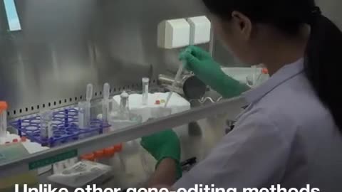 This Technology| is Cutting up your DNA and Replacing it| MMRNA MRNA