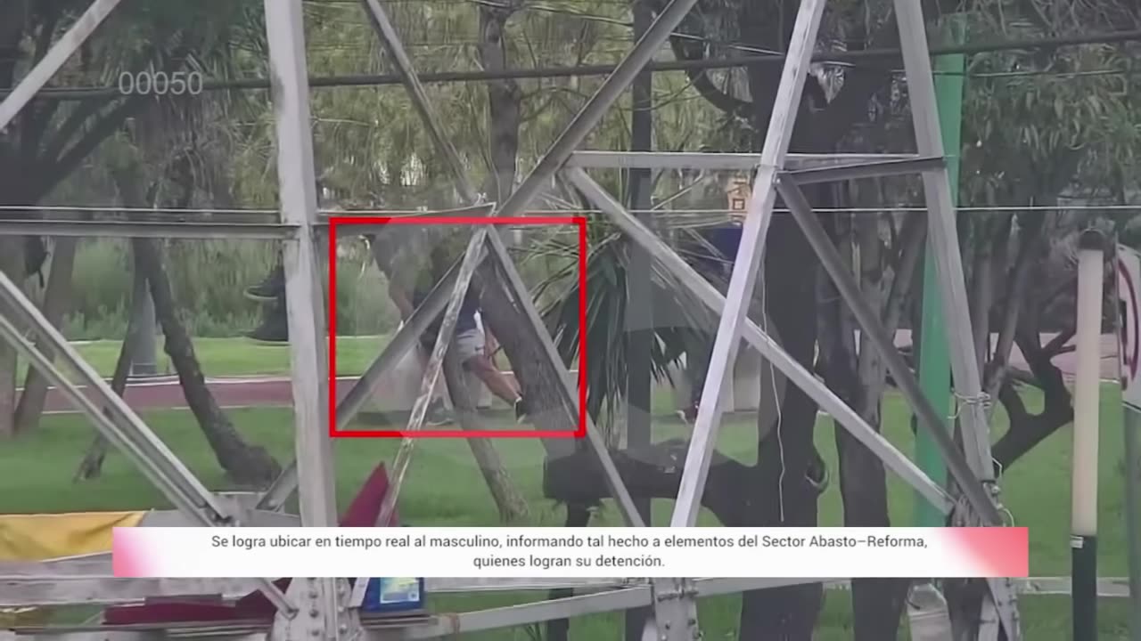 TOP 5 C2 CEDA 2025 | #C5CorazónDeLaCDMX