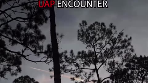 OCEOLA NATIONAL FOREST , FLORIDA UAP