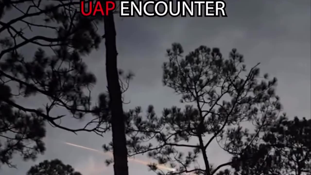 OSCEOLA NATIONAL FOREST , FLORIDA UAP