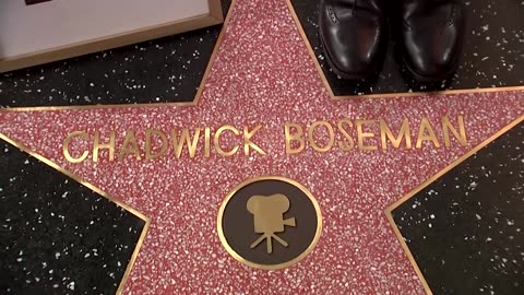 Chadwick Boseman honored with posthumous Hollywood star