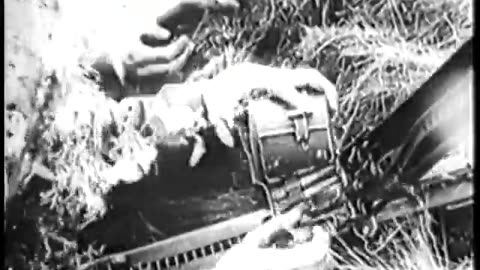 German Newsreel 722 - July 6, 1944