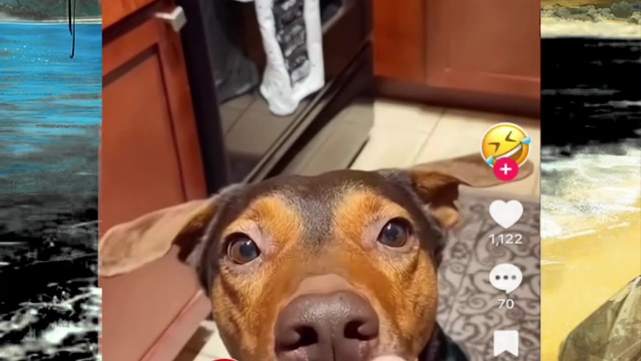 Just shorts videos - Follow 😜😋!!!!!!!