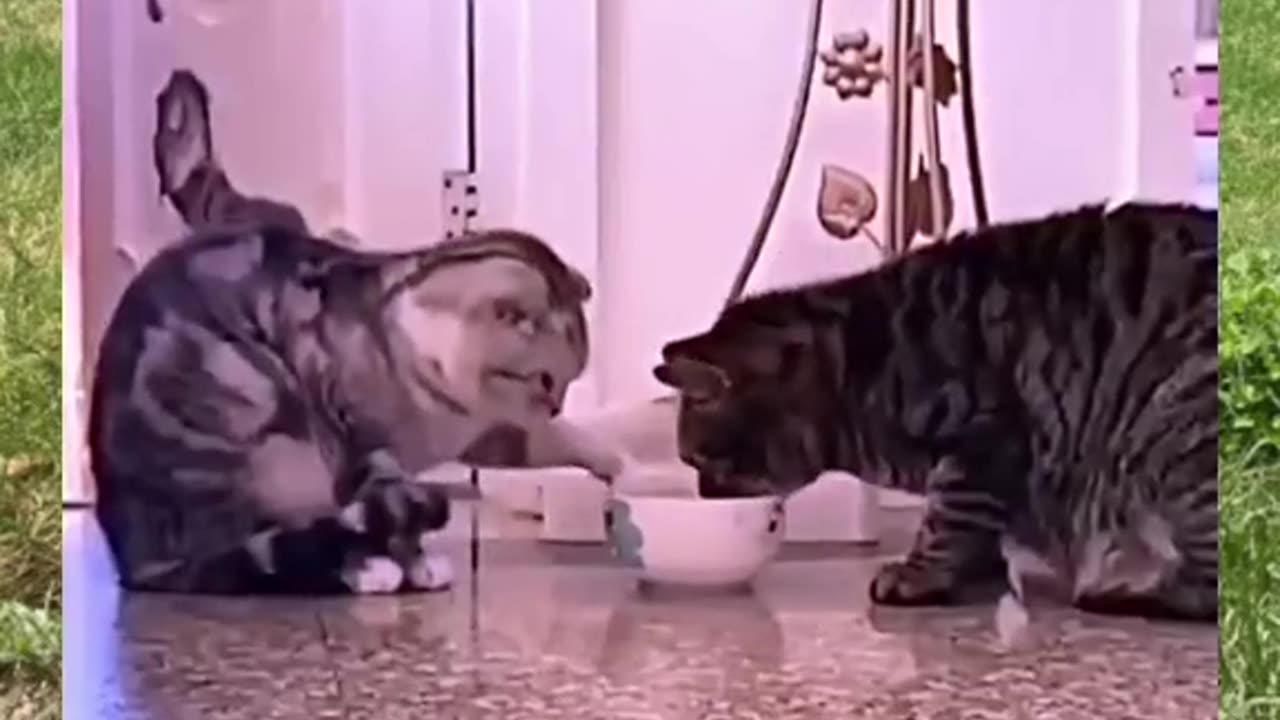 for your mood