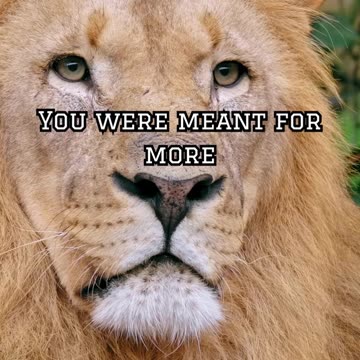 How do you handle life's tests?