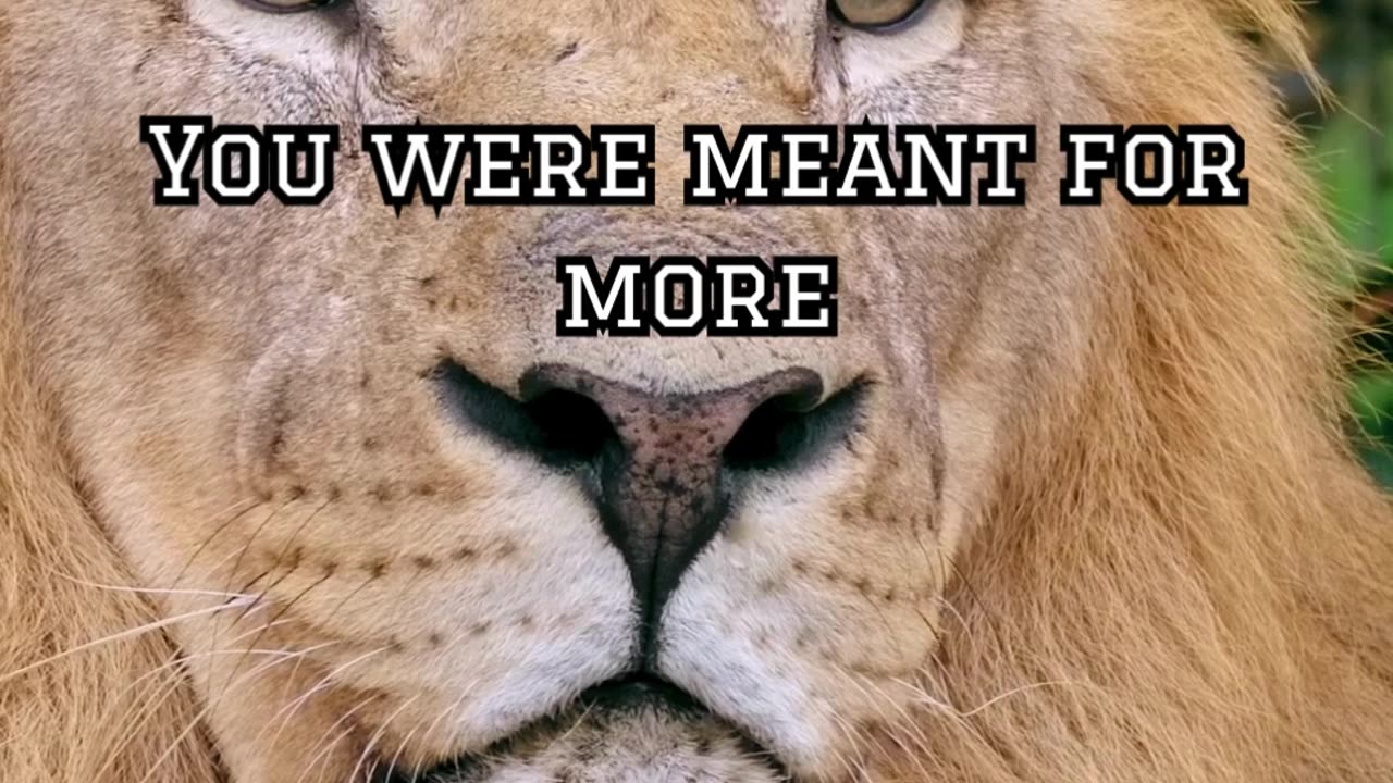 How do you handle life's tests?