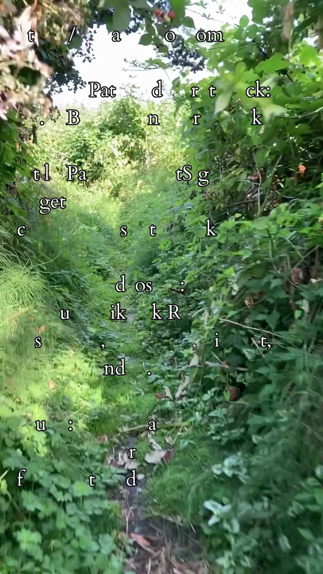 Master of Cycles | Path and Tarot Reading