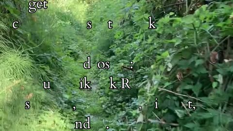 Master of Cycles | Path and Tarot Reading