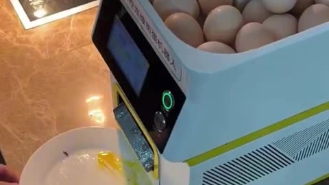 Air Friend Egg Printer