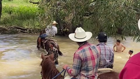 Horse Lunges Across River Water