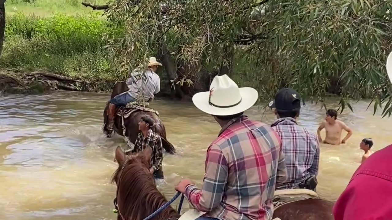 Horse Lunges Across River Water