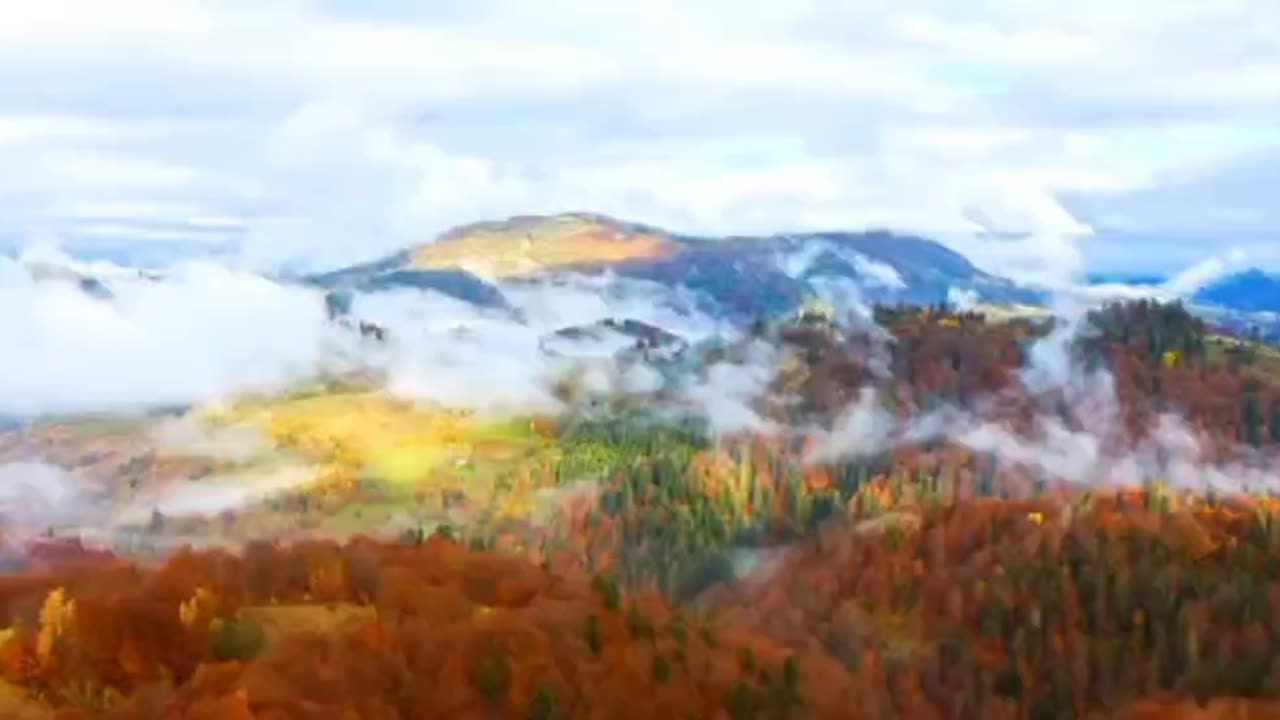 Never Forget What We're Fighting For