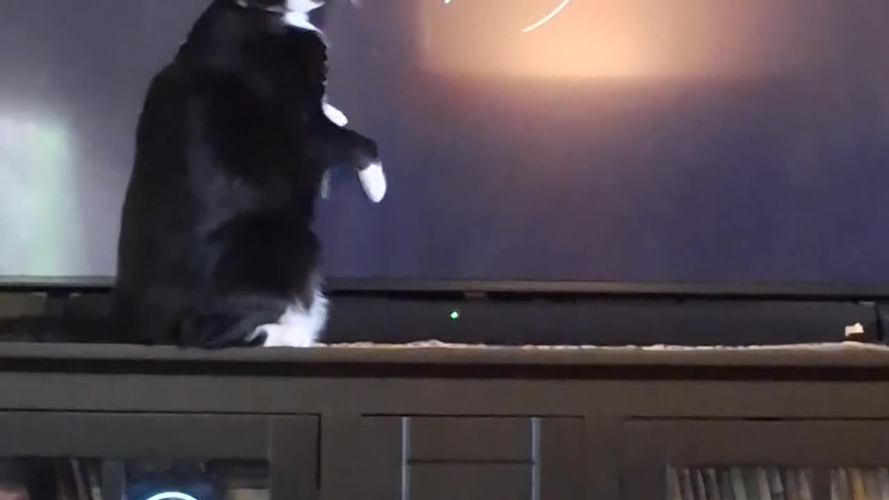 🤣🤔 What Is She Doing BRO?! You Have to See This! | FunFM