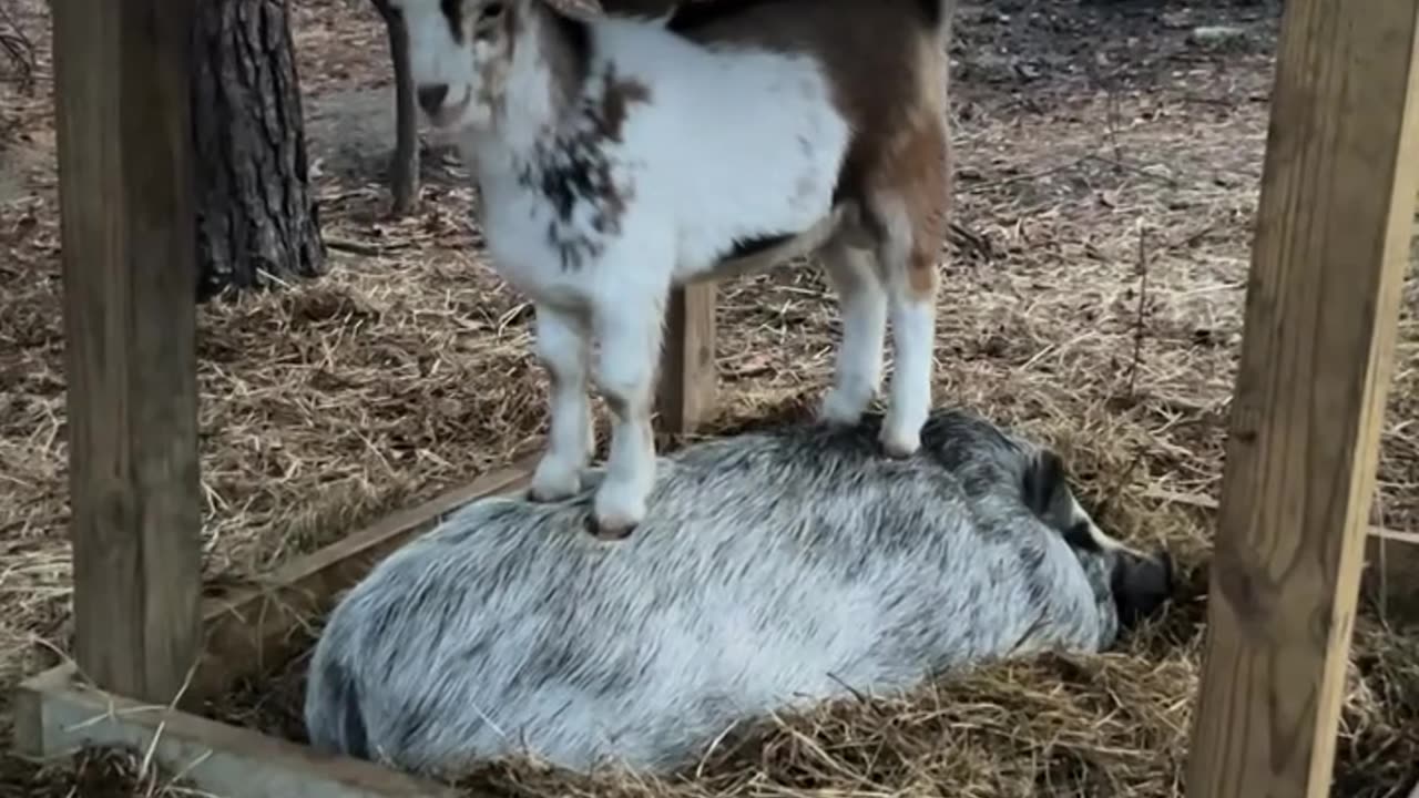 Getting those kinks in the back out