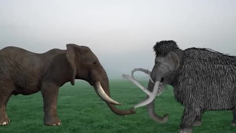 Who Would Win? African Elephant vs. Woolly Mammoth – Ultimate Strength Showdown!