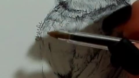 Traditional Art Drawing - Birds