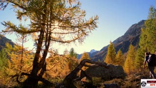 Morning Prayer- pouring my heart to God