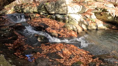Roaring Falls