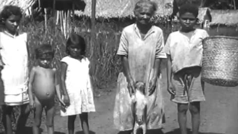 Ford Brazil Truck Farm Harvesting - Ford Brazil Truck Farm Harvesting - fc-fc-2955