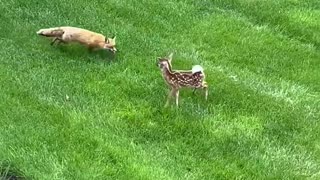 🤣😂 They Thought It Was a Game, But... | FunFM