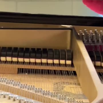 Festival "Bengala Branca" no DME