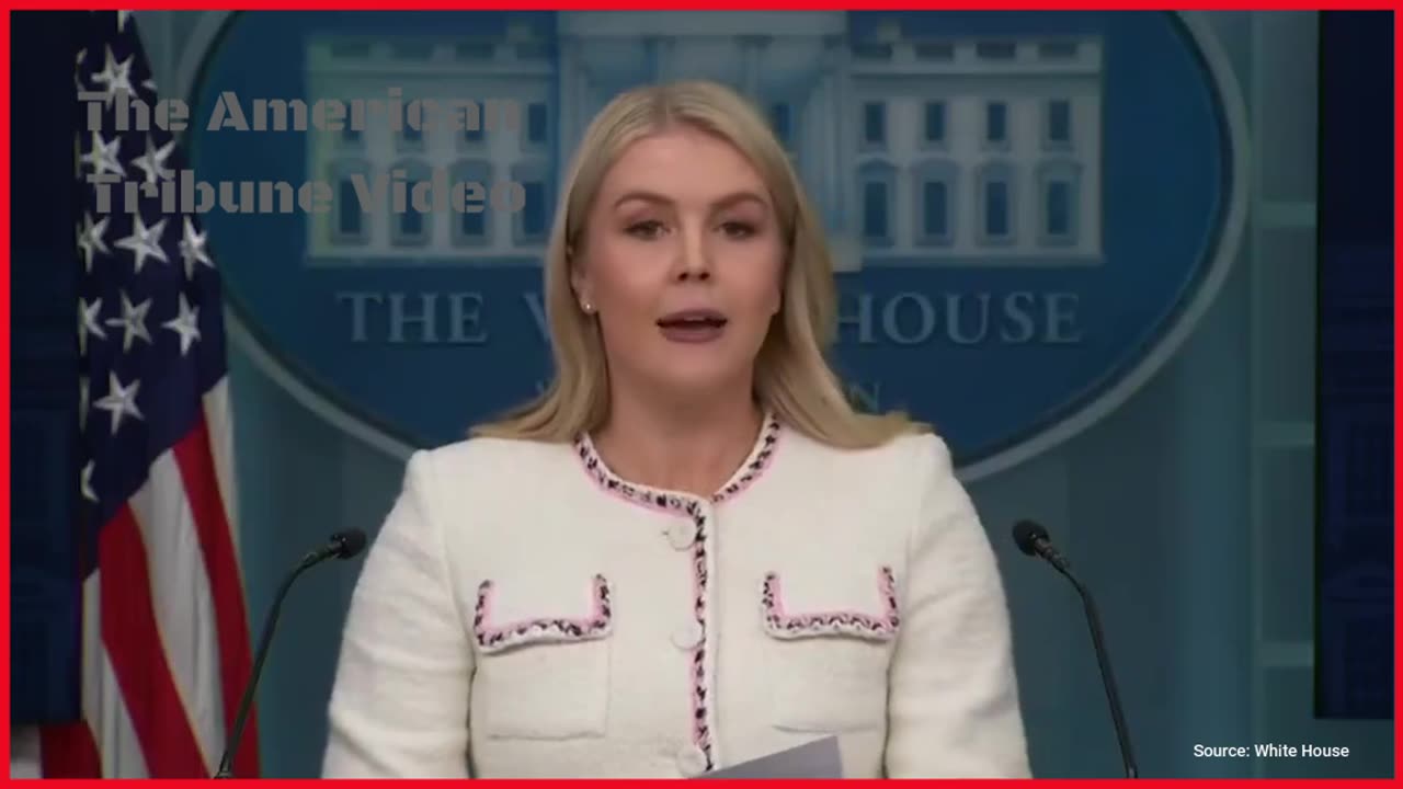 “I Brought a Few Verified Examples”: Karoline Leavitt Brings the Receipts to Expose How Dems