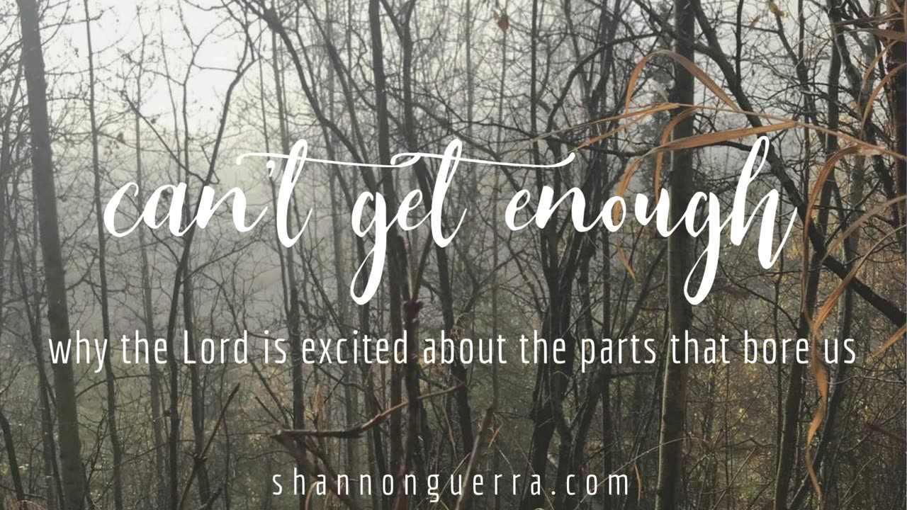 can't get enough: why the Lord is excited about the parts that bore us