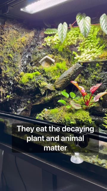 Can You Guess Where This Is Going?