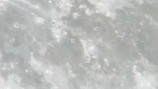 “Summer Vibes 🌞🏝️ – Kapo Ohana | El Sonido del Verano”