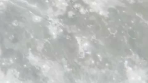 “Summer Vibes 🌞🏝️ – Kapo Ohana | El Sonido del Verano”