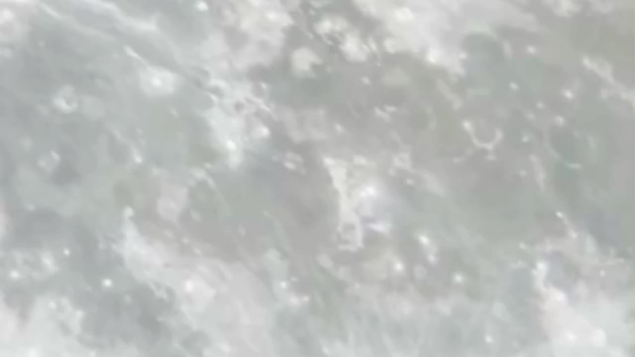 “Summer Vibes 🌞🏝️ – Kapo Ohana | El Sonido del Verano”