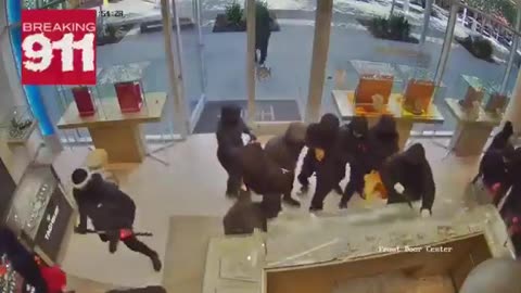 Mob of 20+ thugs ransack jewelry store in San Ramon, Calif.