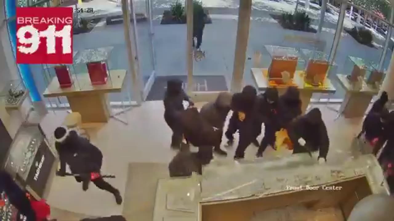 Mob of 20+ thugs ransack jewelry store in San Ramon, Calif.