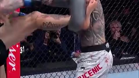 UFC Champion vs Challenger | Title Fight Highlights 2025