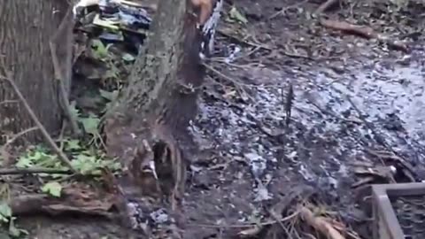 🚧🔥 Ukraine Russia War | Destroyed Ukrainian 2S1 Gvozdika on the Front Lines | RCF