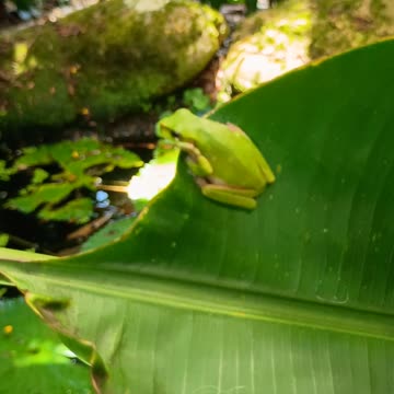 29.12.2024 From the Pond