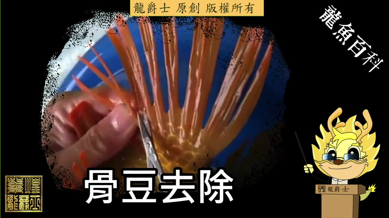 【龍爵士】千問千答 Q224 尾巴長了兩個白點是什麼原因