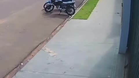 So you're saying that a horse stole your motorcycle? 👮‍♂️🕵️‍♂️